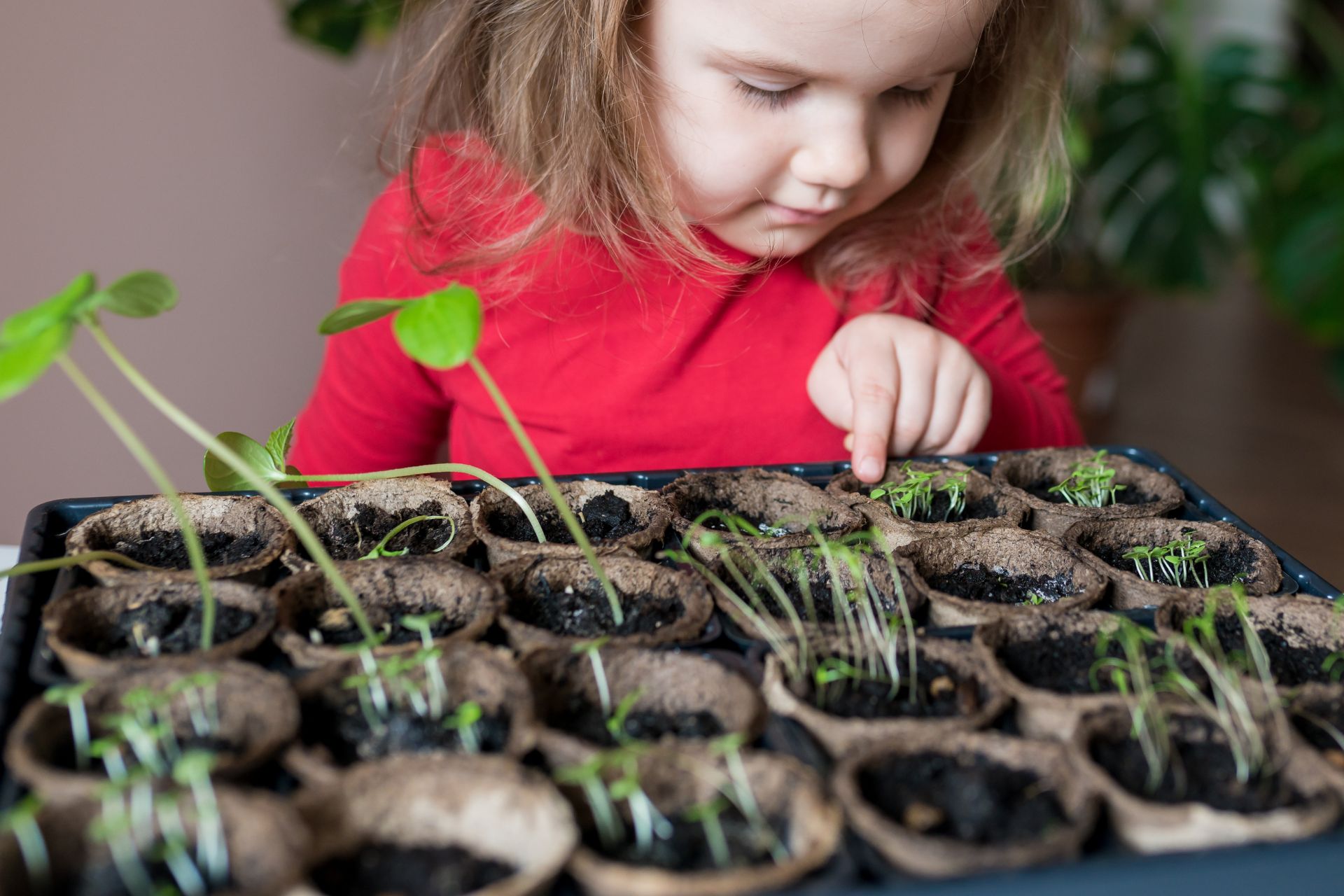 11. You can grow it.jpeg